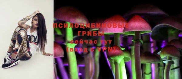 герыч Карпинск