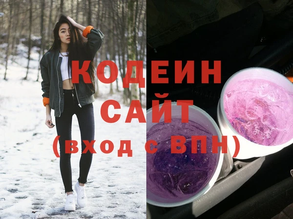 молекула духа Киреевск