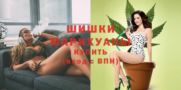 молекула духа Киреевск
