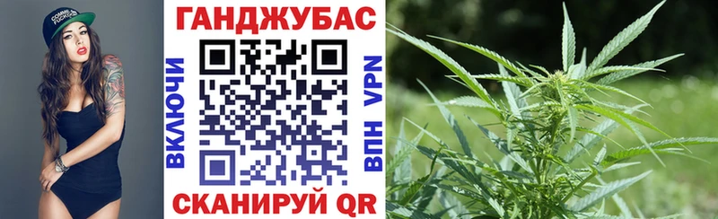 Купить где  Опочка  Канабис Ganja 
